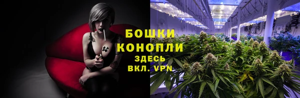 сатива Балахна