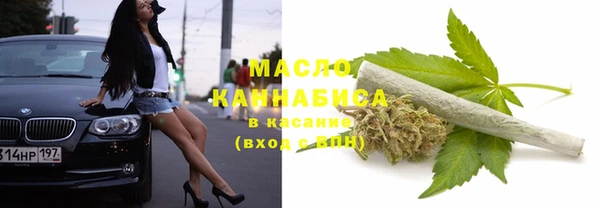 сатива Балахна