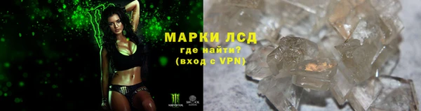 сатива Балахна