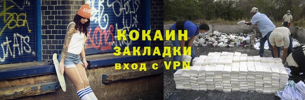 сатива Балахна