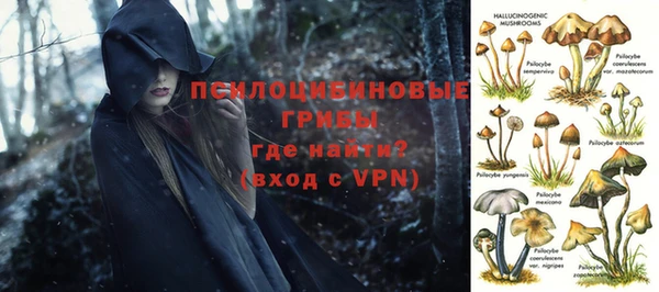 сатива Балахна