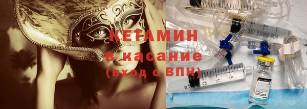 сатива Балахна